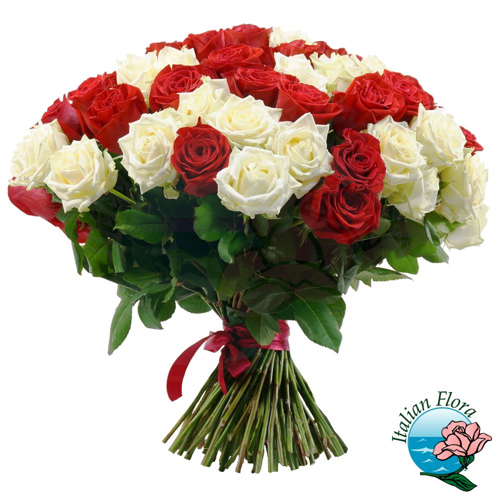Mazzo di 24 rose rosse e bianche - Italflora