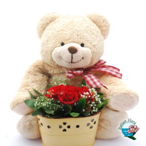 cesto rose rosse e peluche