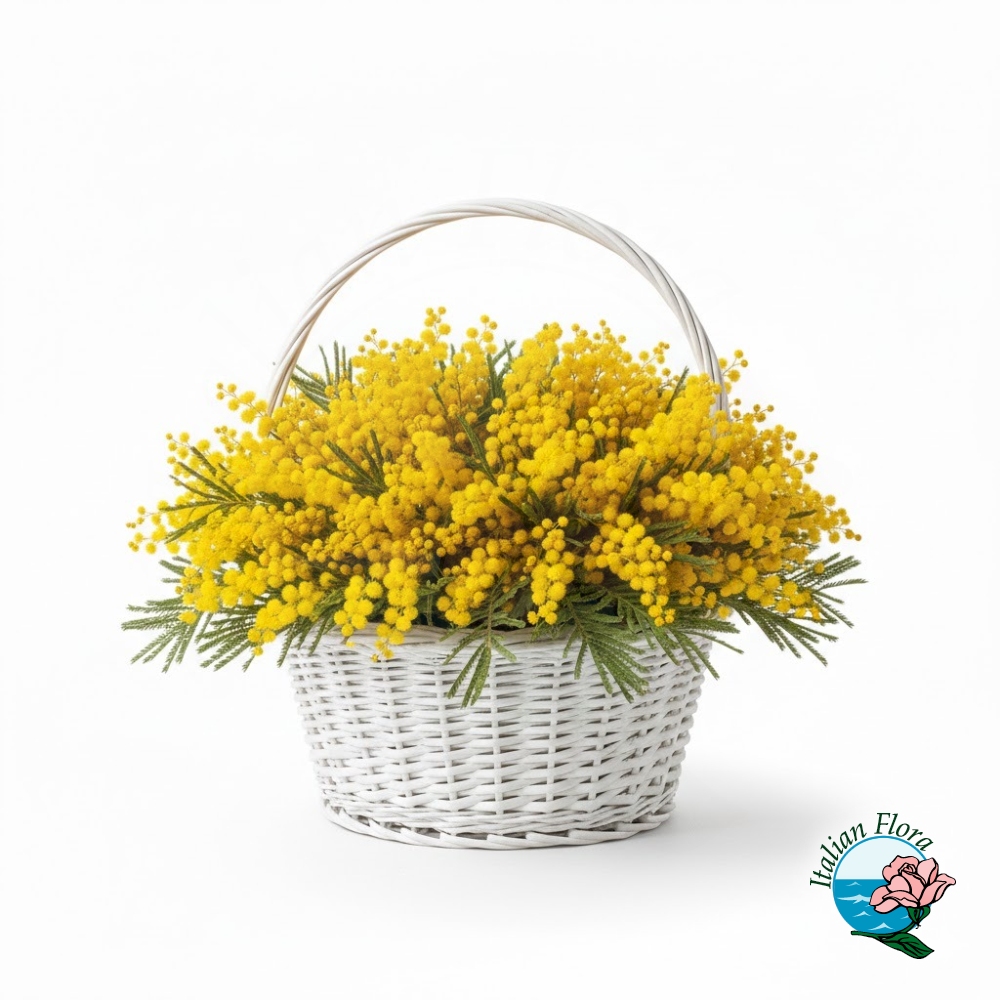 Cestino di mimose