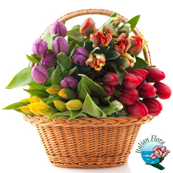 Cesto di tulipani colorati