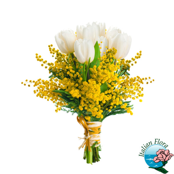 Tulipani bianchi e mimosa