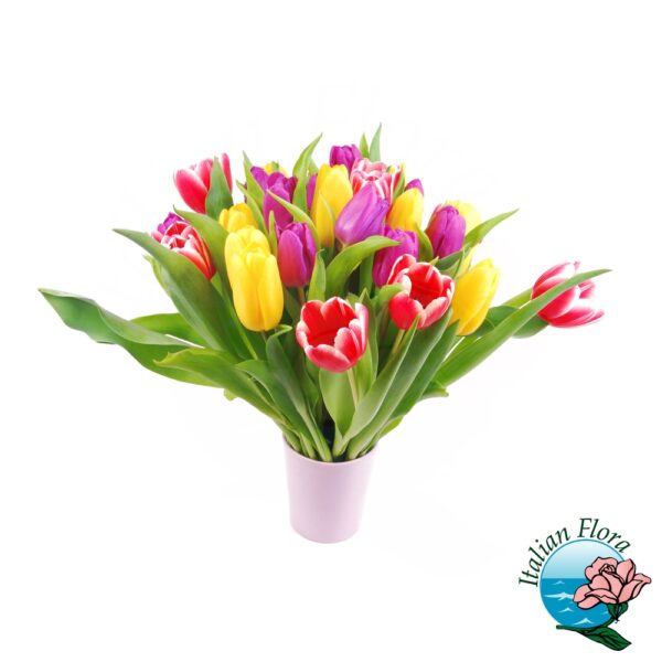 bouquet tulipani colorati