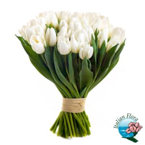 mazzo di tulipani bianchi