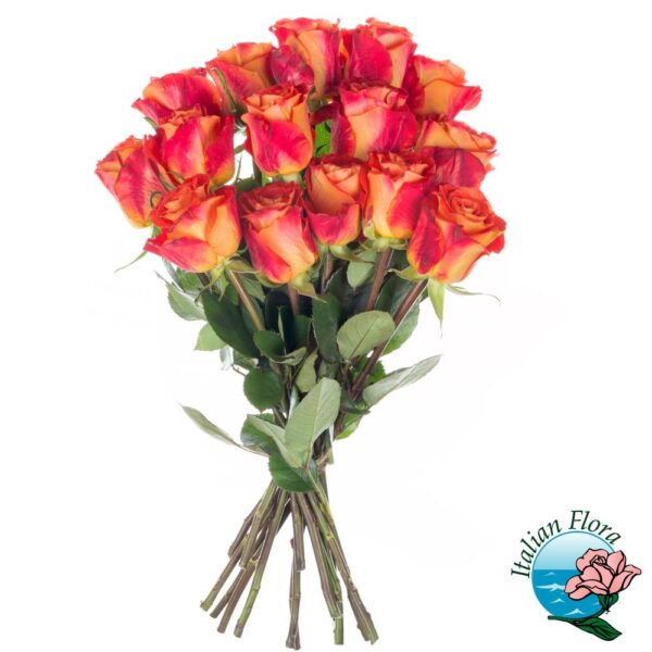 Bouquet di 15 rose arancio
