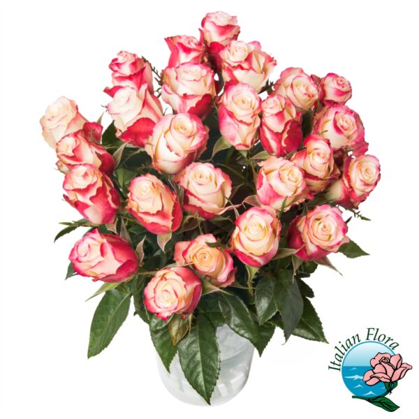 bouquet rose bianche screziate