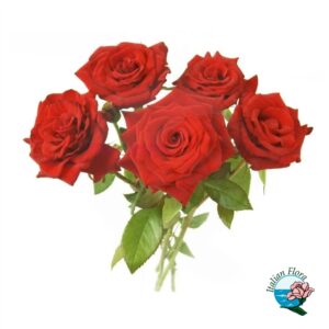 mazzo di 5 rose rosse