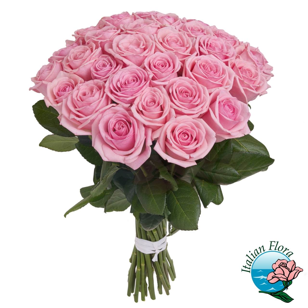 Mazzo di 30 rose rosa