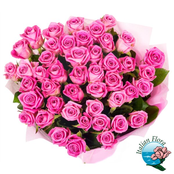 50 rose rosa