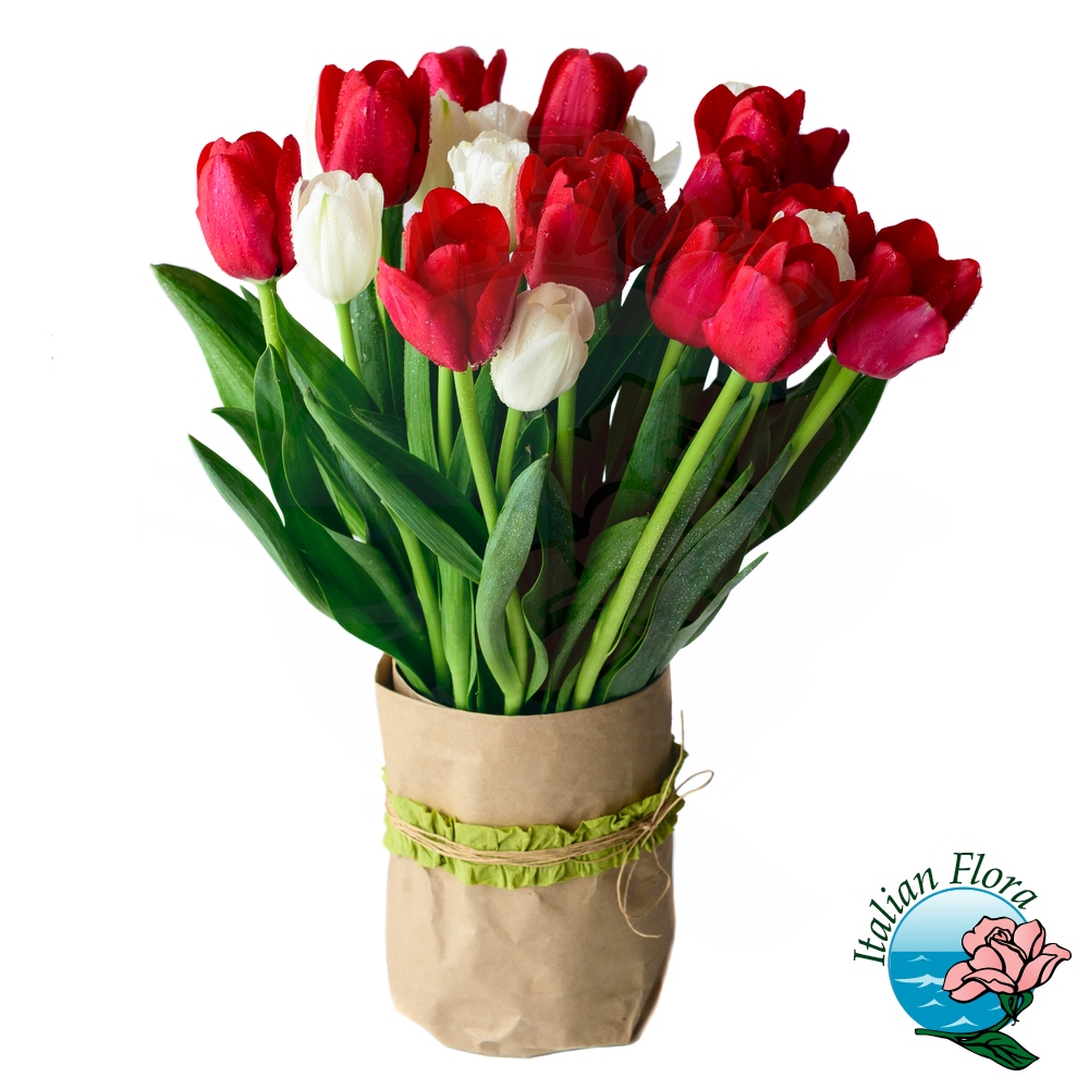 Bouquet di tulipani bianchi e rossi - Italflora