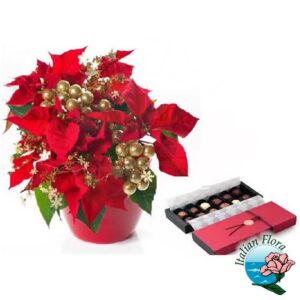 Stella di Natale rossa con cioccolatini