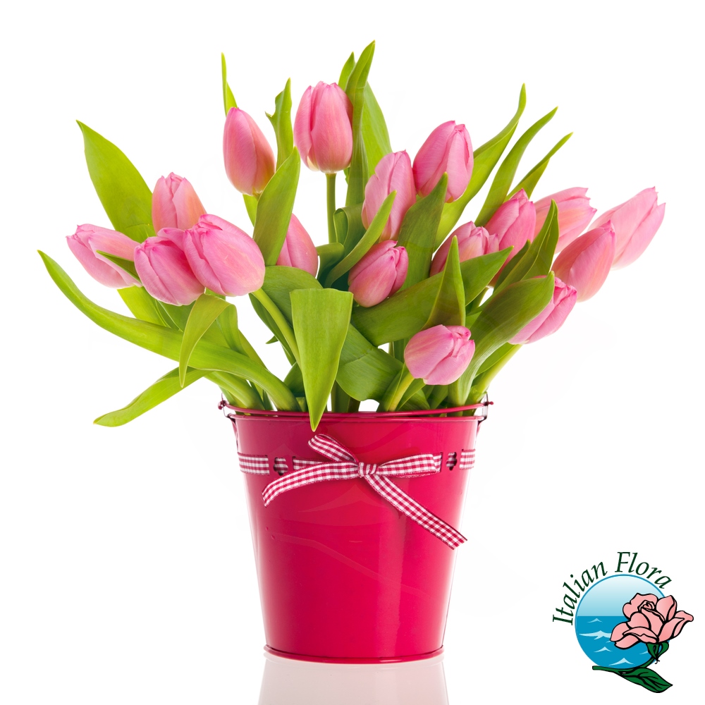Tulipani rosa in vaso