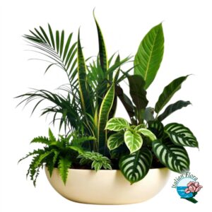 Composizione di piante verdi