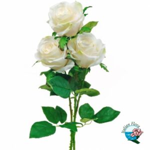 3 rose bianche