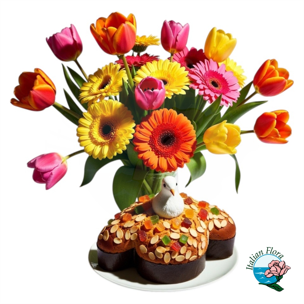 Bouquet con gerbere e tulipani con colomba pasquale