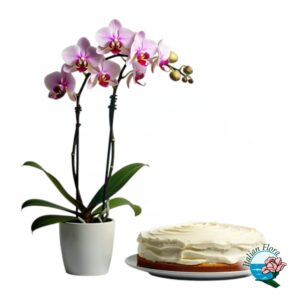 Pianta di orchidea rosa con torta alla crema