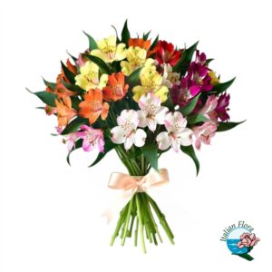 Bouquet di Astromerie colorate