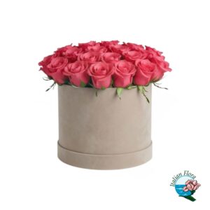 Flowerbox con rose rosa